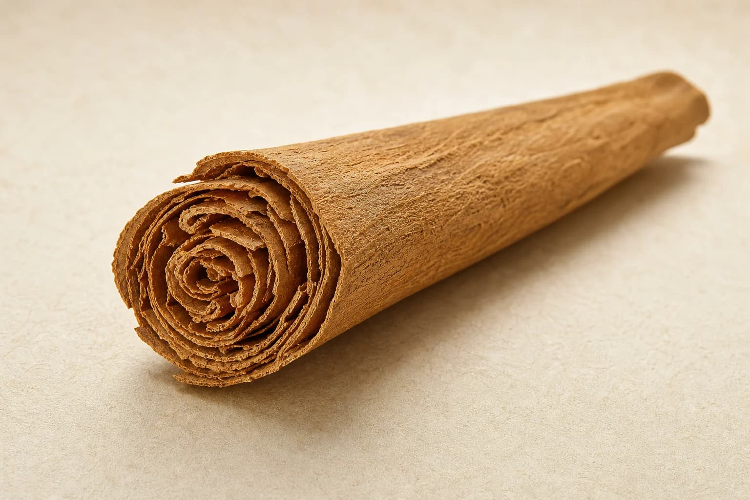 Macro study of a Ceylon cinnamon quill showing its thin, layered bark